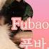 BambooPanda Engsub Fubao BGM Fubao Panda Song Everland Panda Song 푸바오의 판다송 에버랜드 판다 동요