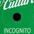 Incognito Feel The Real Micky More Andy Tee Classic Mix