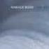 Harold Budd The White Arcades Slower 800 Ambient Music