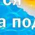 Ежики купаются Съёмки под водой