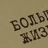 Больше жизни Вещдок Особый случай Близкие люди