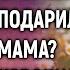 Папуля мне мама букет цветочков подарила Какая мама Павел похоронил жену 3 года назад