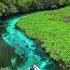 Bluest Water Sucuri River Bonito Ecotourism