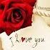 Happy Rose Day My Love Rose Photos For Love Rose Day Photo 2022 Rose Day Pictures HD Dp