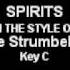 Spirits In The Style Of The Strumbellas Karaoke With Lyrics