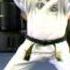 Chayon Ryu Preserving Martial Arts History