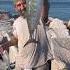 Bonito Fishing From Shore At Narragansett RI Fishing Bonito Shorts Rhodeisland