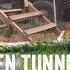 Chicken Tunnel Update