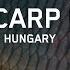 Carp Fishing In Hungary Mura Carp Lakes Great Adventure With Thomas Hirschbauer 4K