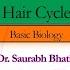 Hair Cycle Basic Biology