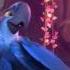 Rio 2 Amazon Untamed