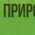 Биология наука о живой природе Видеоурок по биологии 5 класс