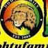 POSITIVE ENERGY VOL 5 DJ RIZZLA KADAMAWE ROOTS Dohty Family BOB MARLEY LUCKY DUBE CULTURE