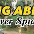 Clever Spider Ibang Aberu Official Dance Video New Teso Music 2023