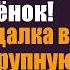 У невесты твоей под сердцем не твой ребенок Выдала гадалка в обмен на крупную купюру и предложила