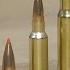 Quick Tip Hollow Point Vs Soft Point Vs Ballistic Tip Bullets