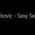 Rade Lackovic Sexy Seka Audio 2008