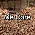 Me Core Memes Relatable Funny Fyp Short Credit Tos Huggbees For Videos