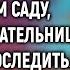 Услышав слова малышки новая воспитательница решила проследить А едва