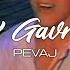 Ivan Gavrilović Pevaj Official Video