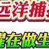 翟山鹰 在网上做过这几件事你就是被远洋捕捞对象 顺便也提醒做生意和要创业的朋友