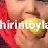 Shirintoylar