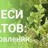 Баковые смеси биопрепаратов особенности приготовления и применения Дачный агроном