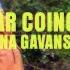 Dana Gavanski Singular Coincidence Official Video