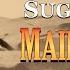 Spaghetti Western Soundtracks Sugar Colt Main Theme Luis Enriquez Bacalov