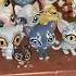 Warriors Customs Thunderclan Thursday Part Two