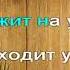 Детская студия Родники Новый год у ворот караоке