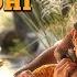 Maari 2 Telugu Maari S Aanandhi Video Song Dhanush Sai Pallavi Yuvan Balaji Mohan