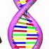 CBSE Class 12 Biology Principles Of Inheritance And Variation Part 1 Full Chapter