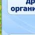 Тема 2 Бактерии древнейшие организмы на Земле