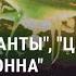 Пропаганда Кремля о врагах России СМОТРИ В ОБА