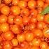 Sea Buckthorn For The Winter Without Cooking Solid Vitamins