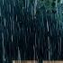 Night Rain Thunderstorm Sleep Sounds Torrential Rainstorm On Forest House Powerful Thunder