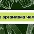 Биология 8 класс 5 Строение организма человека 2