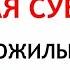 28 декабря Трифонов День Что нельзя делать 28 декабря Народные Приметы и Традиции Дня