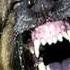 Large Dog Barking SFX Aggressive Loud Dogs 1 Hour High Quality Sound Effects Of Canine Barks