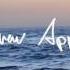 Andrew Applepie The Ocean