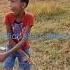 Small Pro Kite Fighter Kolkata Kiteflying Patang Shorts Ytshorts