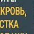 На дачу они копили Еще накопите Визжала свекровь когда невестка заметила пропажу 1 5 млн