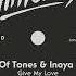 Art Of Tones Inaya Day Give My Love Extended Mix