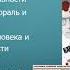 Д Шостакович Значение и характеристика творчества Урок музлит 12 класс