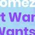 Selena Gomez The Heart Wants What It Wants Karaoke Piano