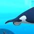 Octonauts Arctic Orcas The Dolphin Reef Rescue Cartoons For Kids Underwater Sea Education