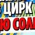 Цирк Дю Солей 10 тысяч за билет От Лужников до Парк Горького Гуляем по Москве