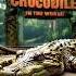 6 OLDEST GIANT CROCODILES EVER World S Oldest CROCODILE Shorts Viralvideo Wildanimalfacts