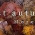 The First Autumn Leaf Piano Solo Luca Morelli